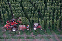 Soil Fertility