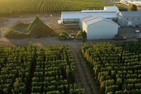 Sustainability