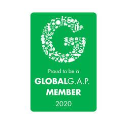 GLOBALG.A.P. publishes updated GFSI option for the IFA Standard