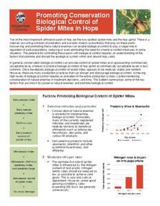 Promoting Conservation Biological Control of Spider Mites in Hops