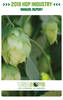 2019 Hop Growers of America Annual Report