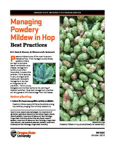 Managing Powdery Mildew in Hop - Best Practices