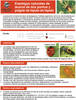 Natural Enemies of Two-Spotted Spider Mite and Hop Aphid on Hop - SPANISH VERSION