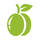 Stone Fruit
