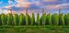 2019 USDA National Hop Report