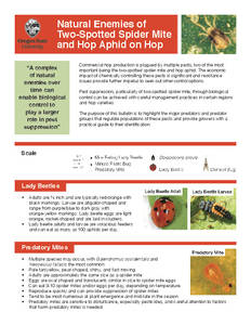 Natural Enemies of Two-Spotted Spider Mite and Hop Aphid on Hop