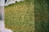 2022 USDA-NASS March Hop Stocks