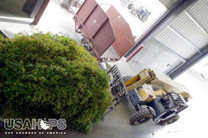 A tractor loads up hops ready to be picked. 