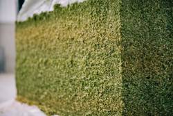 2022 USDA-NASS March Hop Stocks
