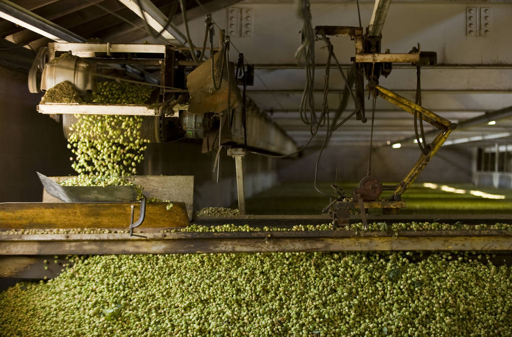 Hop Statistics