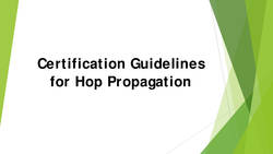 Certification of Clean Plant Producers