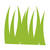 Grassy Hops