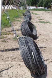 The first “killing frost” (frost which majorly reduces pests like aphids) in the fall signals the hops to go into dormancy. Drip irrigation tubing is removed from the yards to prevent damage during winter months and allow early spring field work to proceed unimpeded.