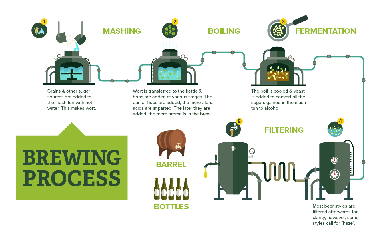 Graph showing the brewing process