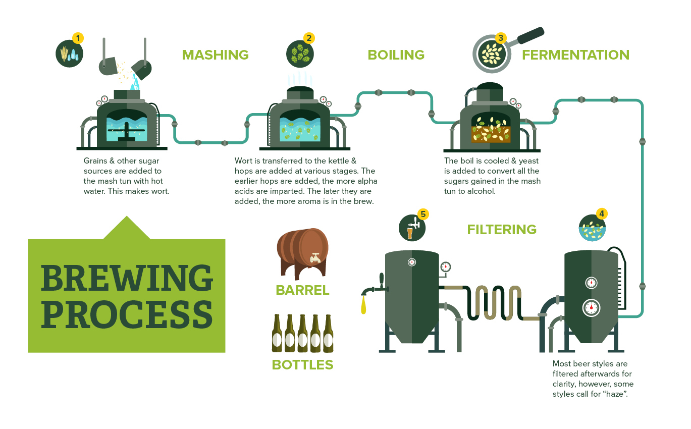 Fermentation of beer steps