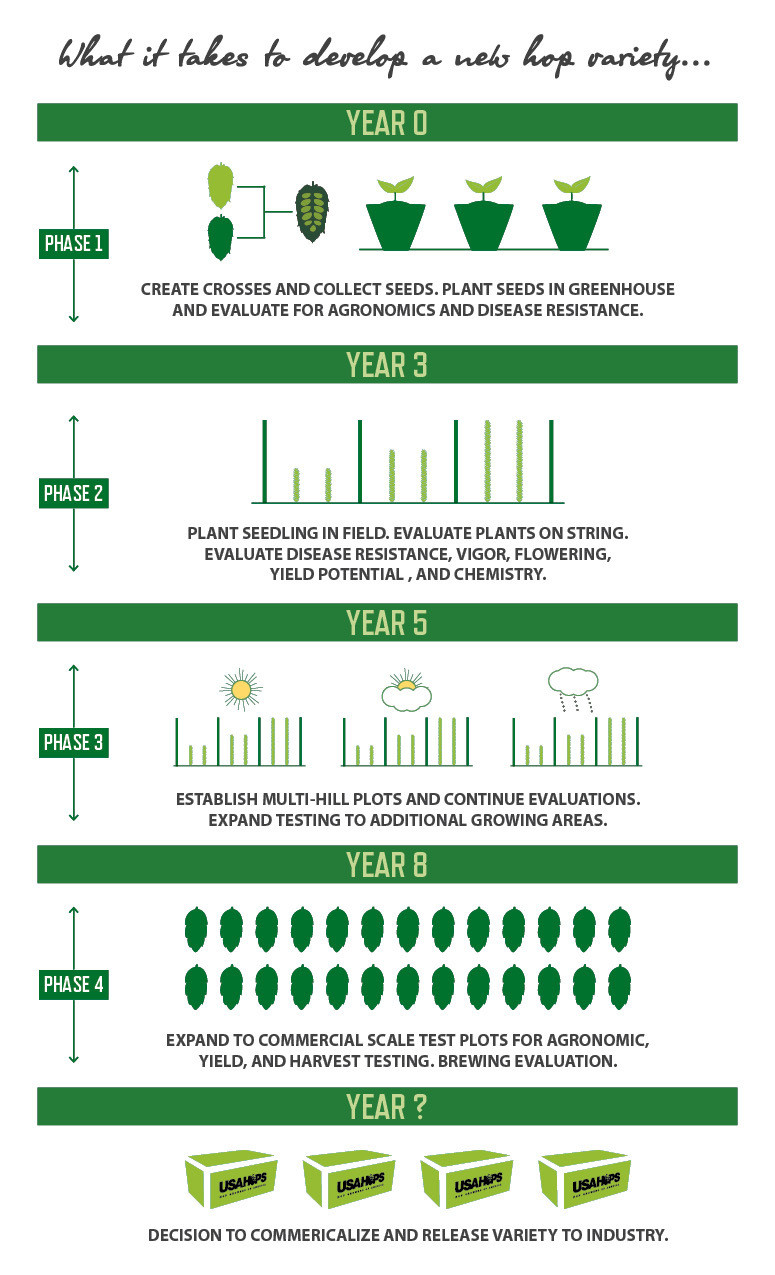 Hop Breeding Technical Chart